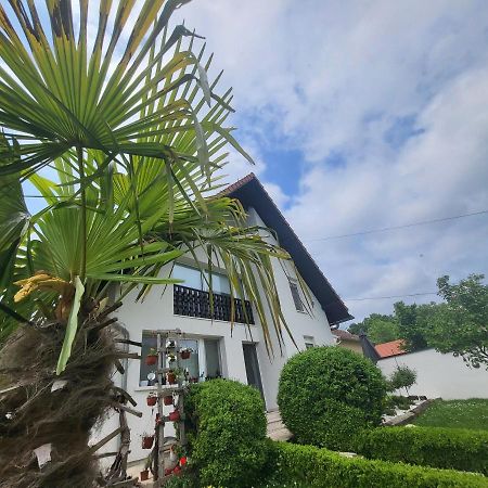 Vila Jovana Vrdnik Exterior foto