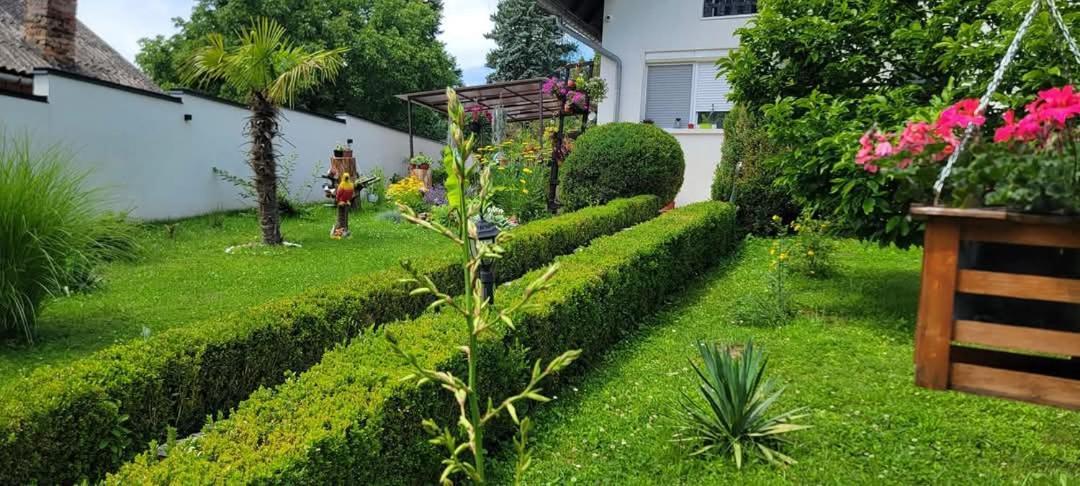 Vila Jovana Vrdnik Exterior foto